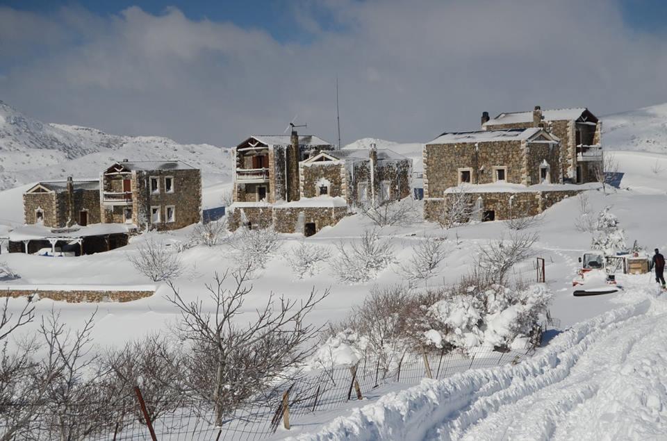 Krousonas  Arodamos Guesthouse מראה חיצוני תמונה