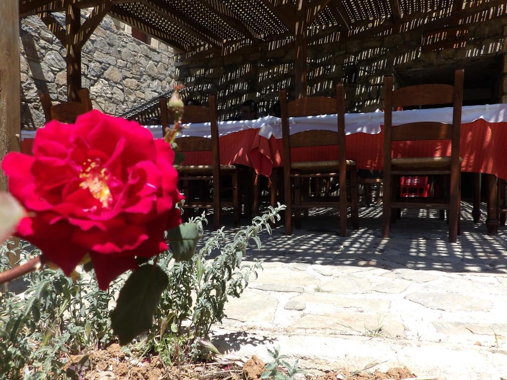 Krousonas  Arodamos Guesthouse מראה חיצוני תמונה