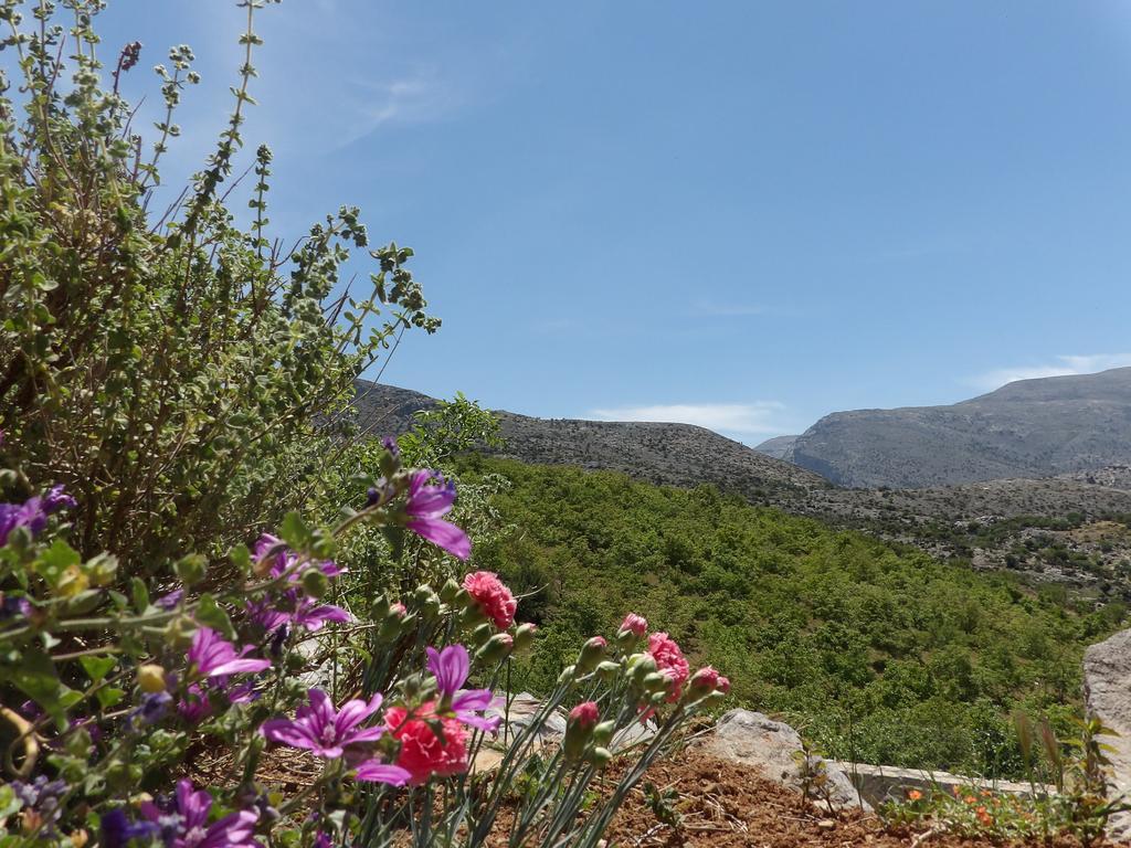 Krousonas  Arodamos Guesthouse מראה חיצוני תמונה